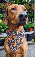 Load image into Gallery viewer, Koa's Ruff Life, Koa in a large Autumn leaves at midnight bandana for dogs personalized with your pups name