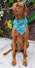 Load image into Gallery viewer, Koa's Ruff Life, Koa in a large Christmas tree bandana for dogs, personalized with your pup's name!