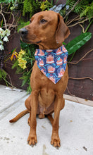 Load image into Gallery viewer, Koa's Ruff Life, Koa in a large gignerbread house snow glob bandana for dogs