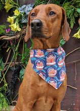 Load image into Gallery viewer, Koa's Ruff Life, Koa in a large gignerbread house snow glob bandana for dogs