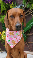 Load image into Gallery viewer, Koa's Ruff Life, Koa in a large pink Christmas candy bandana for dogs, personalized with your pup's name