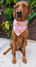 Load image into Gallery viewer, Koa's Ruff Life, Koa in a large pink Christmas candy bandana for dogs, personalized with your pup's name