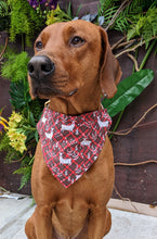Load image into Gallery viewer, Koa's Ruff Life, Koa in a large deer Christmas plaid bandana for dogs