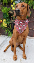 Load image into Gallery viewer, Koa's Ruff Life, Koa in a large deer Christmas plaid bandana for dogs