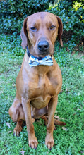 Load image into Gallery viewer, Koa's Ruff Life, Koa in a large Buffalo football bow tie for dogs