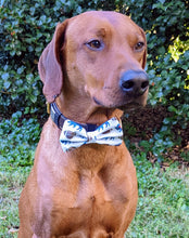 Load image into Gallery viewer, Koa's Ruff Life, Koa in a large Buffalo football bow tie for dogs