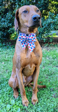 Load image into Gallery viewer, Koa's Ruff Life, Koa in a large Buffalo sailor bow for dogs