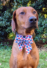 Load image into Gallery viewer, Koa's Ruff Life, Koa in a large Buffalo sailor bow for dogs