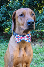 Load image into Gallery viewer, Buffalo Bow Tie and Bow Headband - Football Collection