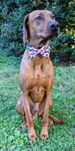 Load image into Gallery viewer, Buffalo Bow Tie and Bow Headband - Football Collection