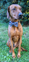 Load image into Gallery viewer, Koa's Ruff Life, Koa in a large reindeer woodland bow tie for dogs