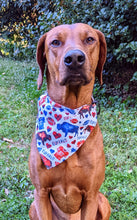 Load image into Gallery viewer, Koa's Ruff Life, Koa in a large buffalo football bandana for dogs