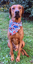 Load image into Gallery viewer, Koa's Ruff Life, Koa in a large buffalo football bandana for dogs
