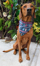 Load image into Gallery viewer, Koa's Ruff Life, Koa in a large vintage nordic Christmas bandana for dogs