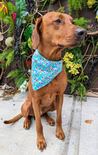 Load image into Gallery viewer, Playful Penguins Bandana