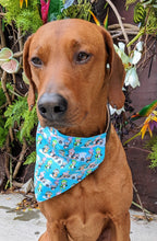 Load image into Gallery viewer, Playful Penguins Bandana