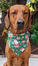 Load image into Gallery viewer, Santa Claus at Christmas Bandana