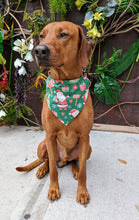 Load image into Gallery viewer, Santa Claus at Christmas Bandana