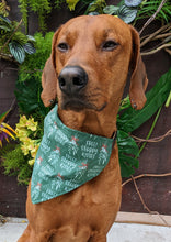 Load image into Gallery viewer, Koa's Ruff Life, Koa in a large mistletoe dog kisses bandana for dogs personalized with your pups name