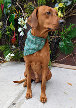 Load image into Gallery viewer, Koa's Ruff Life, Koa in a large mistletoe dog kisses bandana for dogs personalized with your pups name