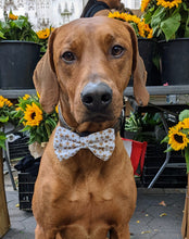 Load image into Gallery viewer, Koa's Ruff Life, Koa in a large New Years Eve Bow Tie for Dogs, personalized!