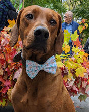 Load image into Gallery viewer, Fall Rain Umbrella Bow Tie
