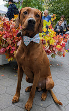 Load image into Gallery viewer, Fall Rain Umbrella Bow Tie