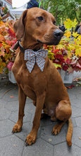 Load image into Gallery viewer, Koa's Ruff Life, Koa in a large leg day sailor bow for dogs, perfect for Thanksgiving festivities