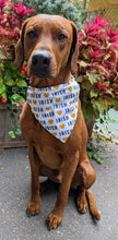 Load image into Gallery viewer, Koa's Ruff Life, Koa in a large love Irish bandana for dogs, personalized wit your pup's name