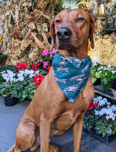 Load image into Gallery viewer, Koa's Ruff Life, Koa in a large Philadelphia Eagles green bandana for dogs