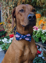 Load image into Gallery viewer, Koa's Ruff Life, Koa in a large New York Yankees bow tie for dogs