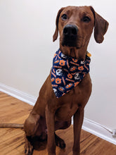 Load image into Gallery viewer, Koa's Ruff Life, Koa in a large Auburn Tigers football bandana