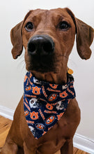 Load image into Gallery viewer, Koa's Ruff Life, Koa in a large Auburn Tigers football bandana