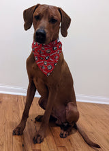 Load image into Gallery viewer, Georgia Bulldogs Bandana, College Collection