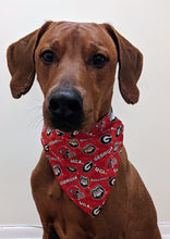 Load image into Gallery viewer, Georgia Bulldogs Bandana, College Collection