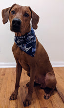 Load image into Gallery viewer, Koa's Ruff Life, Koa in a large blue Tennessee Titans bandana