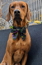 Load image into Gallery viewer, Koa's Ruff Life, Koa in a large mardi gras abstract sailor bow
