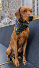 Load image into Gallery viewer, Koa's Ruff Life, Koa in a large black mardi gras abstract bandana personalized with your pups name