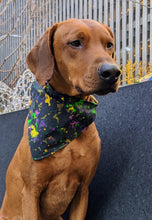 Load image into Gallery viewer, Koa's Ruff Life, Koa in a large black mardi gras abstract bandana personalized with your pups name