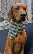 Load image into Gallery viewer, Koa's Ruff Life, Koa in a large Mardi Gras Argyle bandana personalized with your pups name