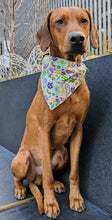 Load image into Gallery viewer, Koa's Ruff Life, Koa in a large Mardi Gras bandana