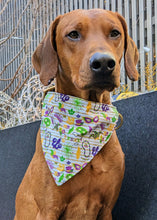 Load image into Gallery viewer, Koa's Ruff Life, Koa in a large Mardi Gras bandana