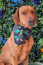 Load image into Gallery viewer, Koa's Ruff Life, Koa in a large black mardi gras abstract bandana personalized with your pups name