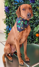Load image into Gallery viewer, Koa's Ruff Life, Koa in a large black mardi gras abstract bandana personalized with your pups name