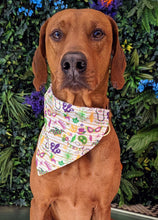 Load image into Gallery viewer, Koa's Ruff Life, Koa in a large white mardi gras celebration bandana personalized with your pups name