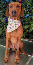 Load image into Gallery viewer, Koa's Ruff Life, Koa in a large white mardi gras celebration bandana personalized with your pups name