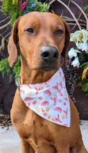Load image into Gallery viewer, Koa's Ruff Life, Koa in a large crawfish boil bandana