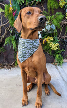 Load image into Gallery viewer, Koa's Ruff Life, Koa in a large down in the bayou bandana