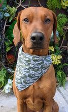 Load image into Gallery viewer, Koa's Ruff Life, Koa in a large down in the bayou bandana
