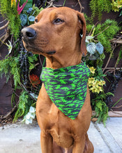 Load image into Gallery viewer, Koa's Ruff Life, Koa in a large black and green crocodile swamp bandana personalized with your pups name